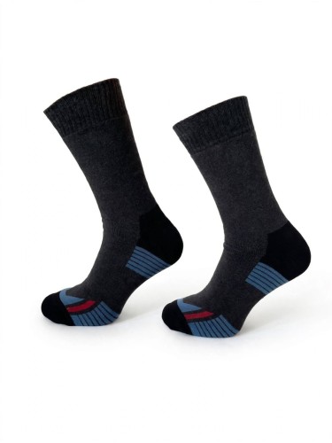 THERMO - SILVER 0590.013 2