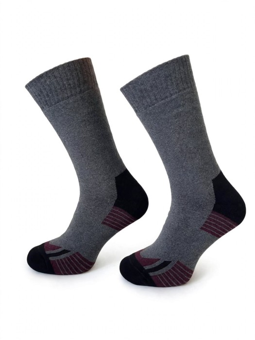THERMO - SILVER 0590.013