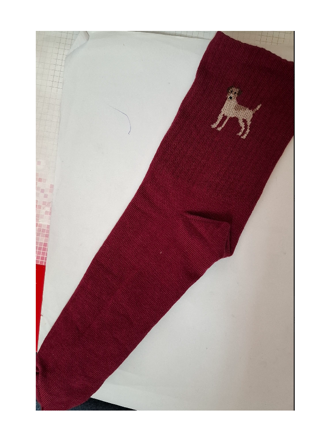 Women's socks Dog 0200.272