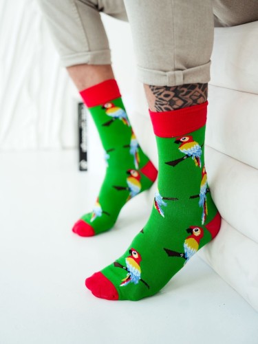 Men's Parrots pattern socks 0125.119