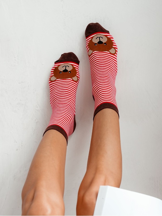 Skarpetki damskie Duże głowy misia z paskami...