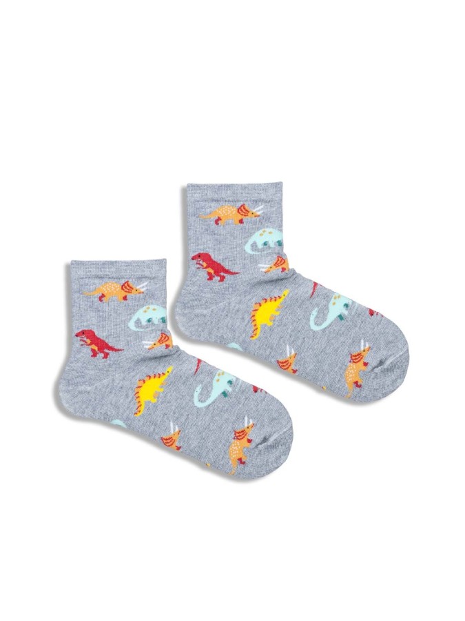 Kids' Dinosaurs pattern socks  1184.036