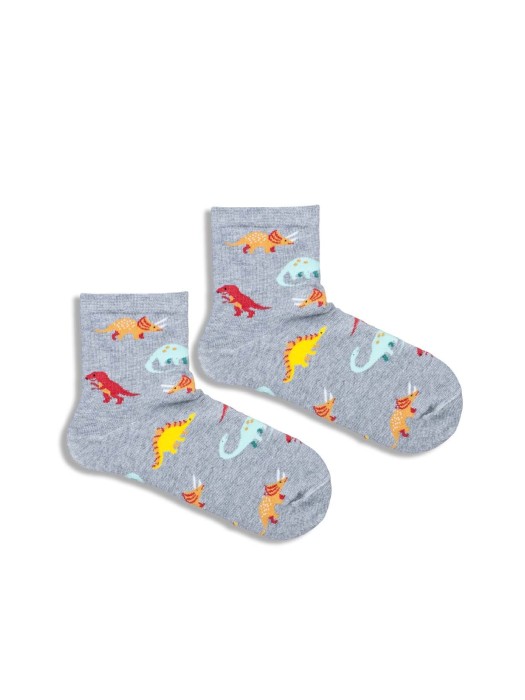 Kids' Dinosaurs pattern socks  1184.036