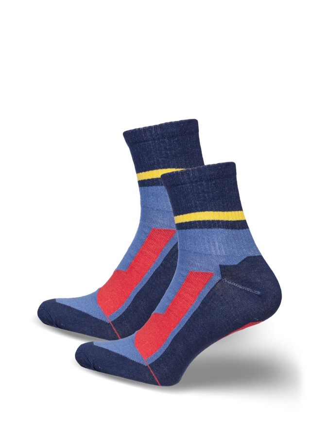 Skarpety męskie ACTIVE 0224.037