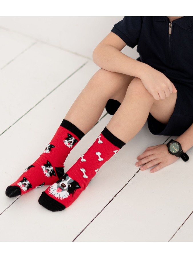 Kids' Border collie dogs pattern socks  029.1184