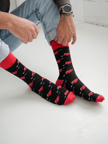 Men's socks Hearts & Arrows 0125.136