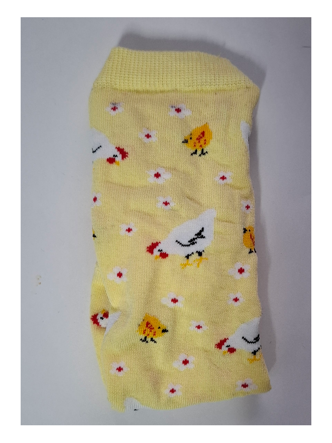 Women's Hens & Chicks pattern socks 0200.219