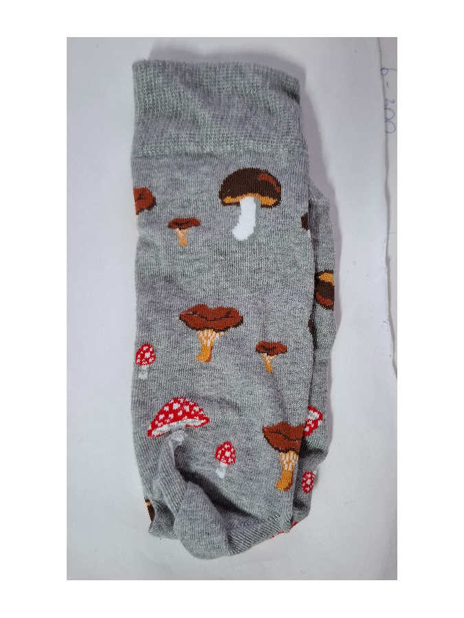 Men's Mushrooms pattern socks 0125.128