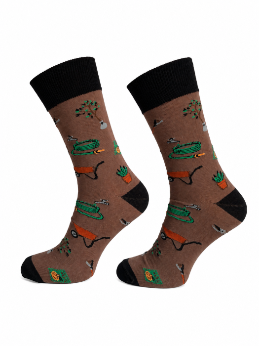 Men's socks Garden 0125.141